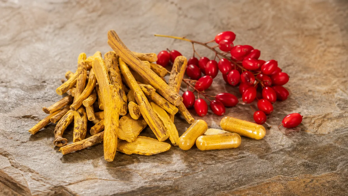 Leuchtend gelbe Berberin-Kapseln neben getrockneten Berberitzenzweigen mit roten Beeren auf einer hellen Steinfläche